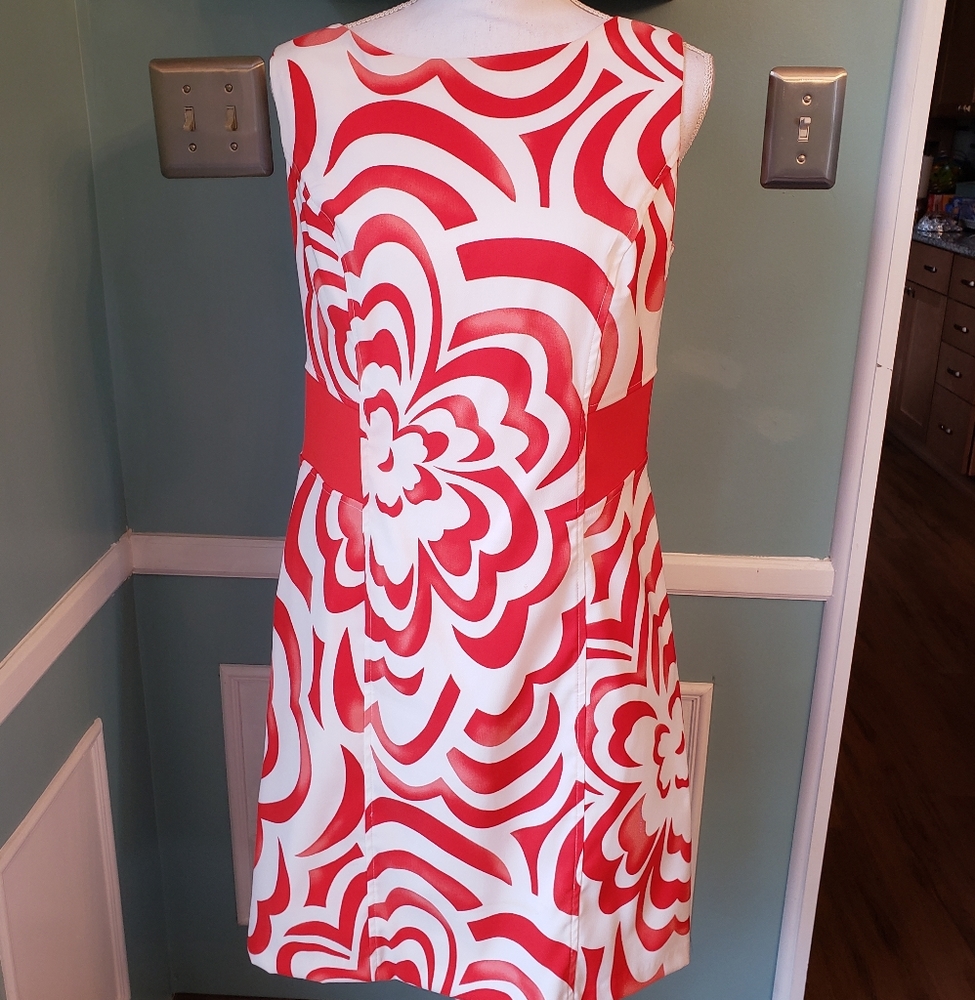 Dress Barn dress